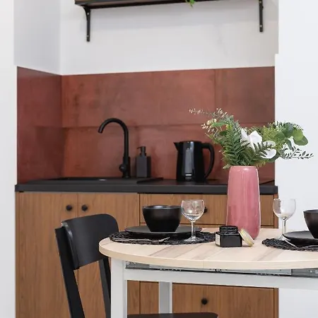Stylish & Modern Studio Kielkowskiego With Terrace By Renters Daire *